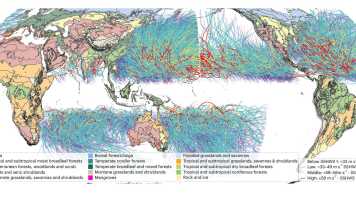 Enlarged view: Worldmap